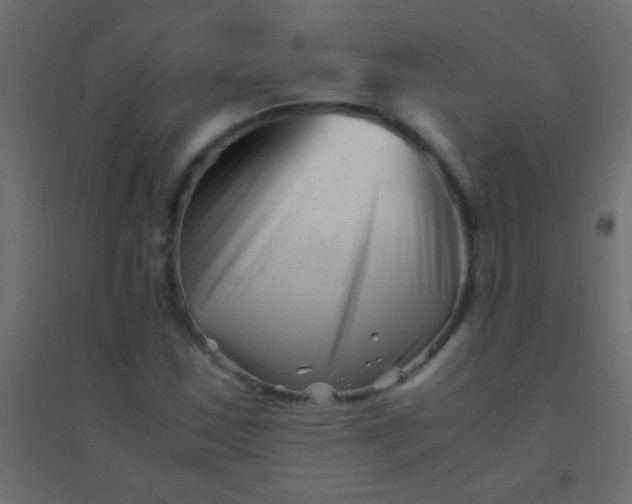 X0000094931163200712131531