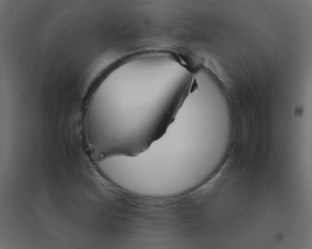 X0000094931164200712131531