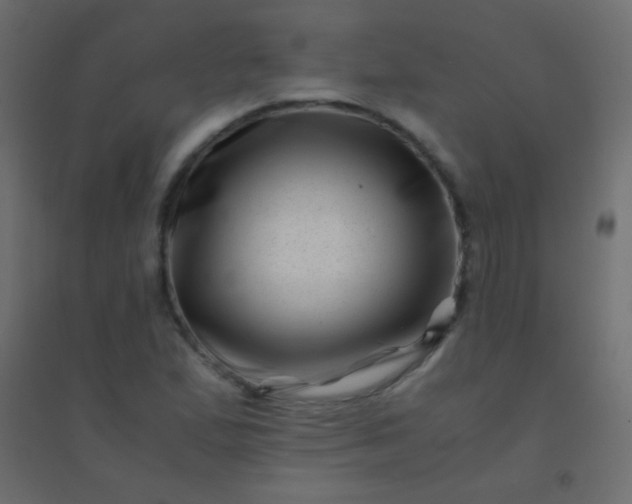 X0000094931167200712131530
