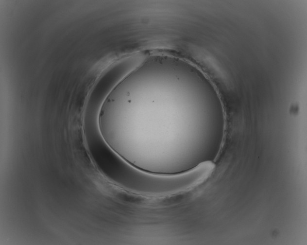 X0000094931169200712131530