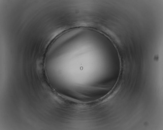 X0000094931170200712131530