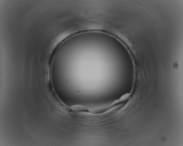 X0000094931171200712131530