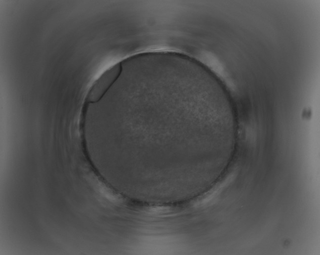 X0000094931173200712131530