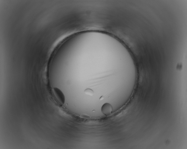 X0000094931174200712131530