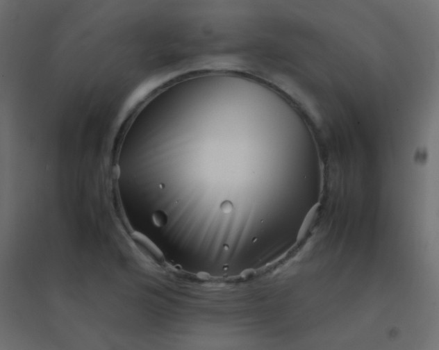 X0000094931176200712131530