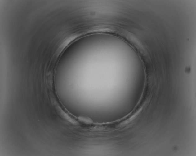 X0000094931177200712131530