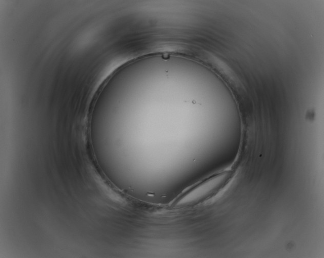 X0000094931178200712131530