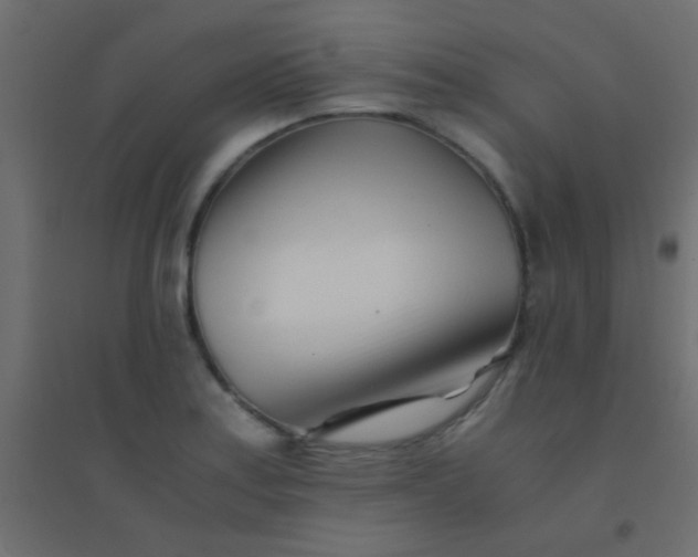 X0000094931179200712131530