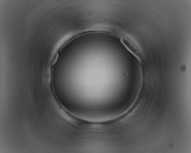 X0000094931180200712131530
