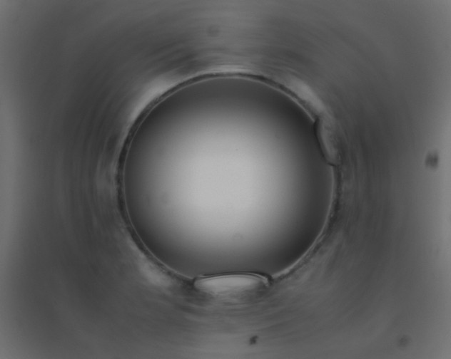 X0000094931181200712131530