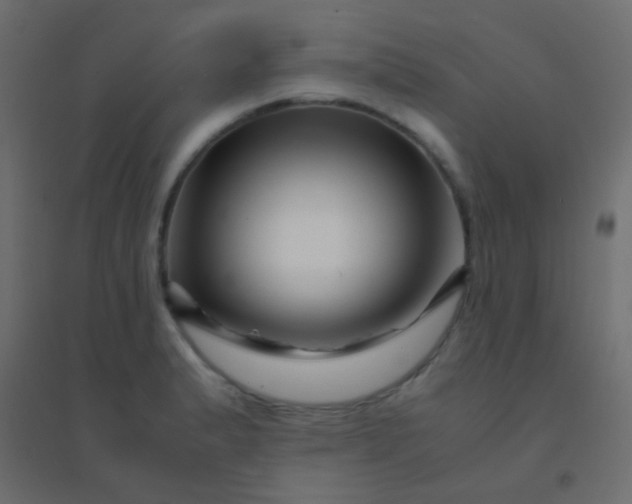 X0000094931183200712131530