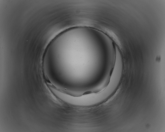 X0000094931184200712131530