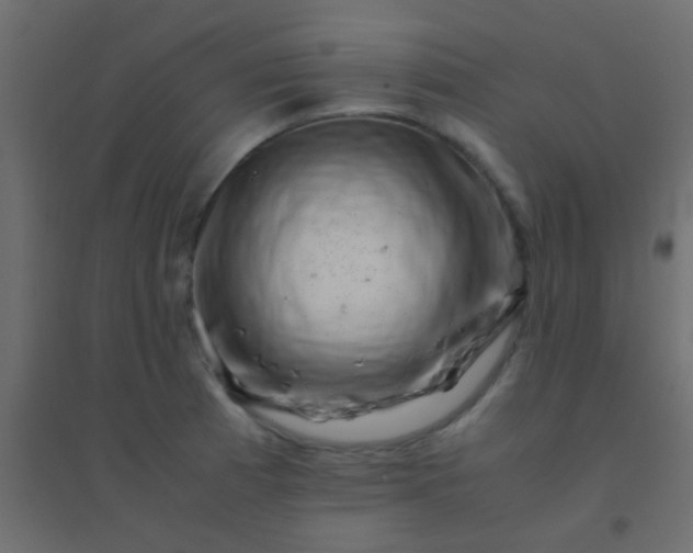X0000094931185200712131530