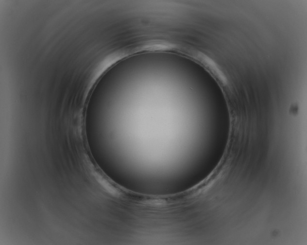 X0000094931186200712131530