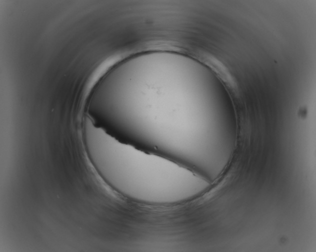 X0000094931188200712131530