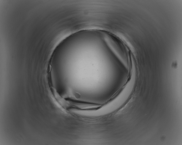 X0000094931189200712131530