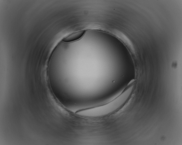X0000094931190200712131530