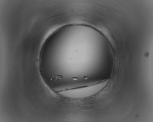 X0000094931191200712131530