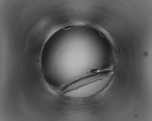 X0000094931194200712131530
