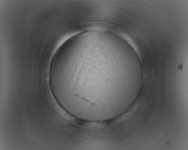 X0000094931195200712131530