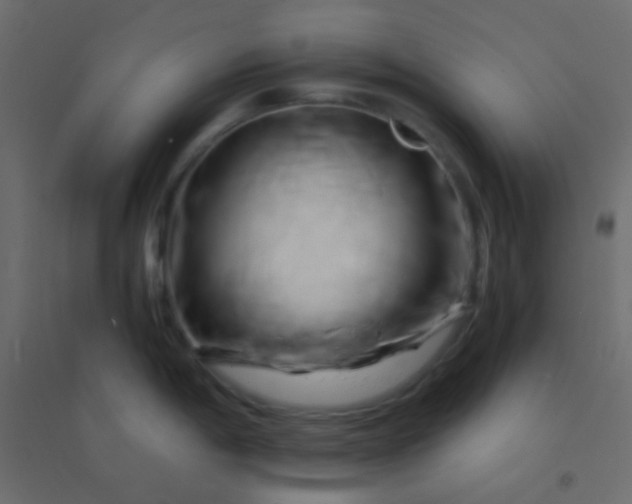 X0000094931198200712131530
