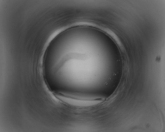 X0000094931199200712131530