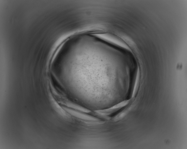 X0000094931200200712131530