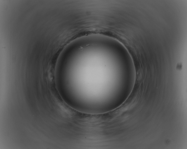 X0000094931202200712131529
