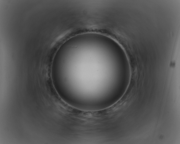 X0000094931205200712131529