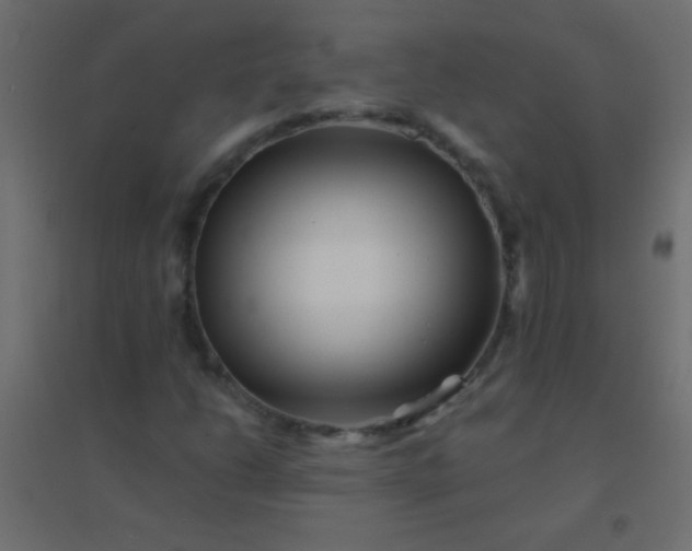 X0000094931206200712131529