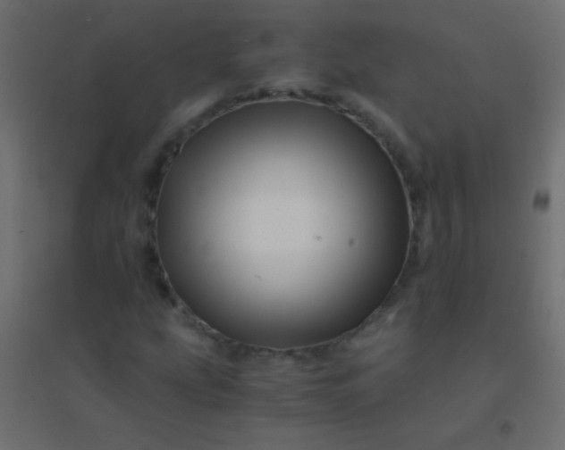 X0000094931207200712131529