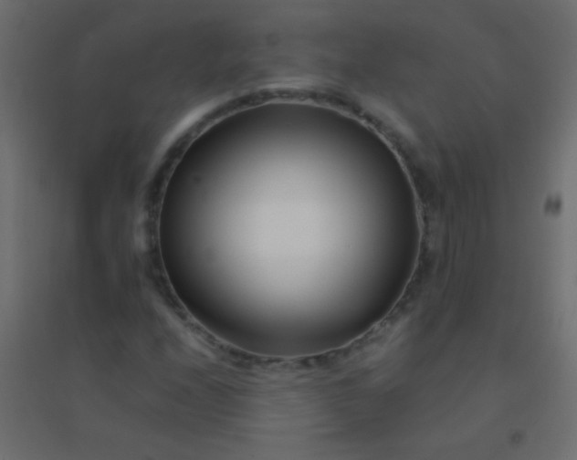 X0000094931208200712131529