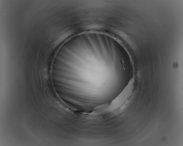X0000094931209200712131529