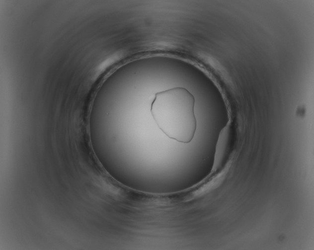 X0000094931210200712131529