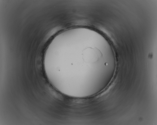 X0000094931211200712131529