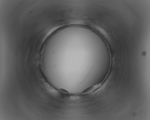 X0000094931212200712131529