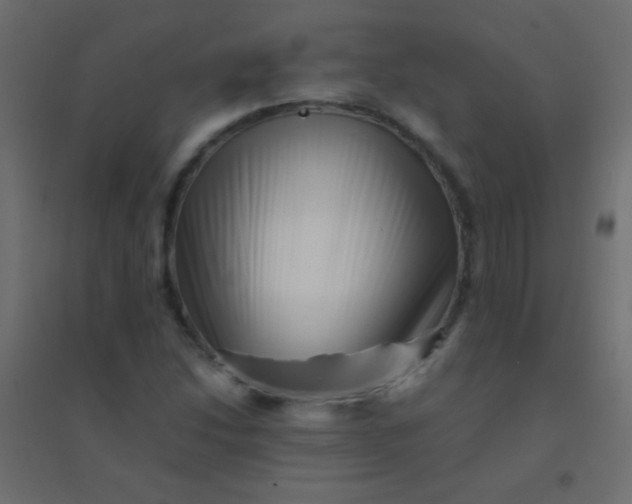 X0000094931214200712131529