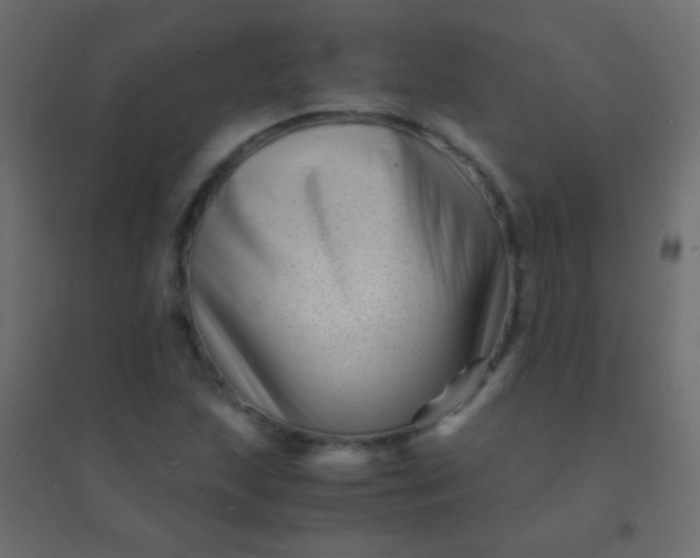 X0000094931215200712131529