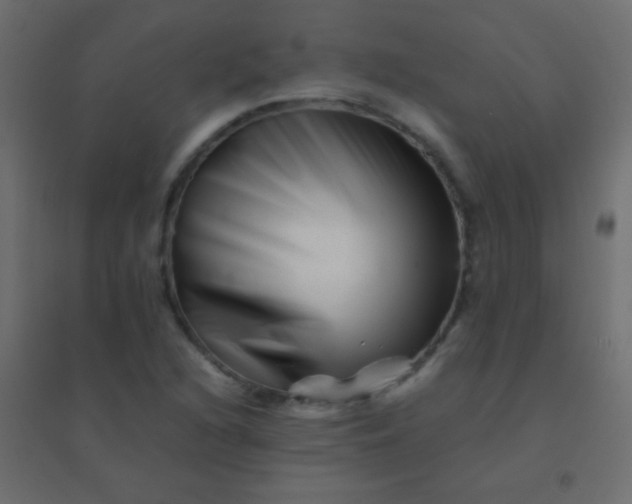 X0000094931216200712131529