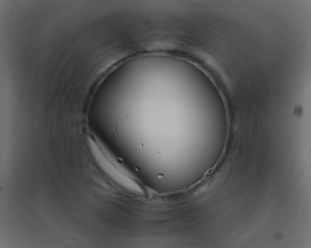 X0000094931217200712131529