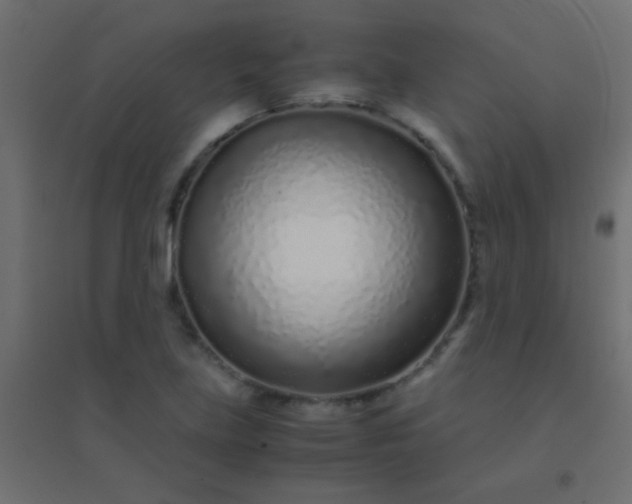 X0000094931219200712131529