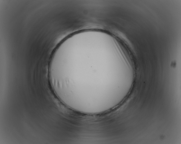X0000094931220200712131529