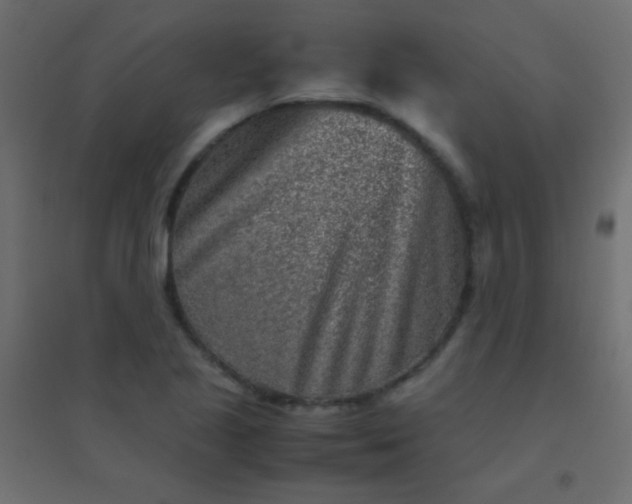 X0000094931221200712131529