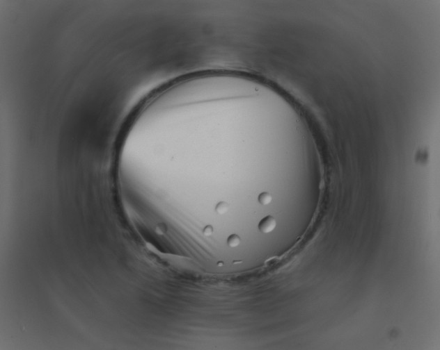 X0000094931222200712131529