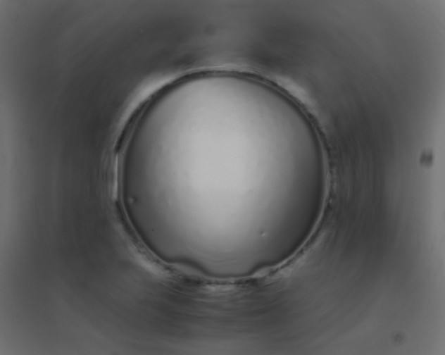 X0000094931223200712131529