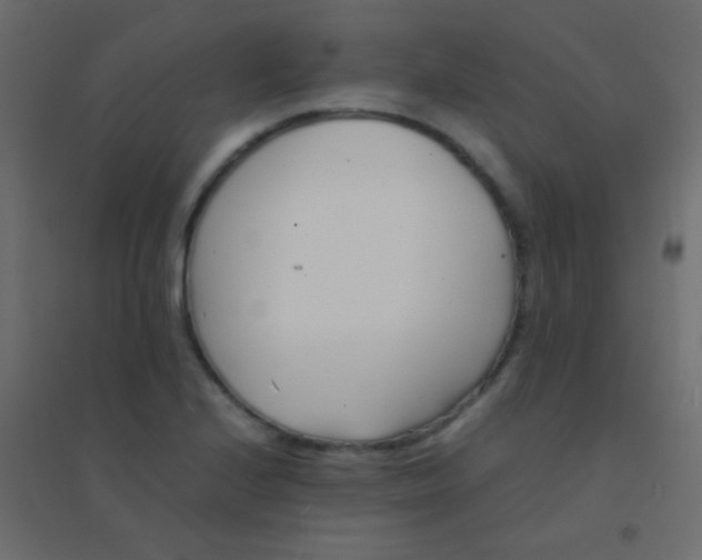 X0000094931224200712131530