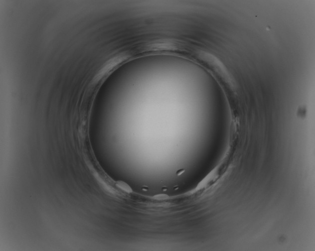 X0000094931225200712131530