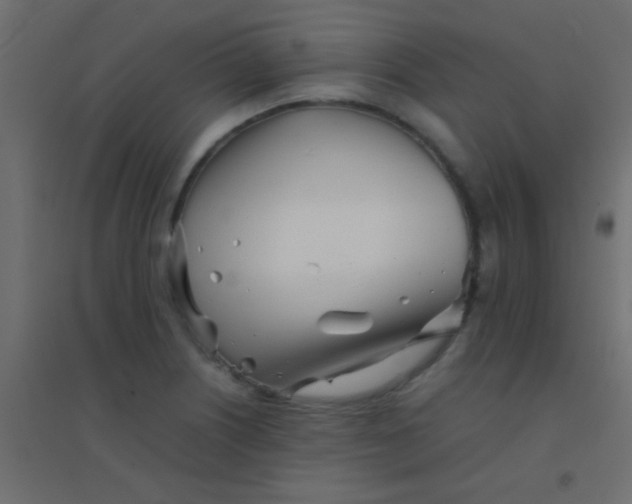 X0000094931226200712131530