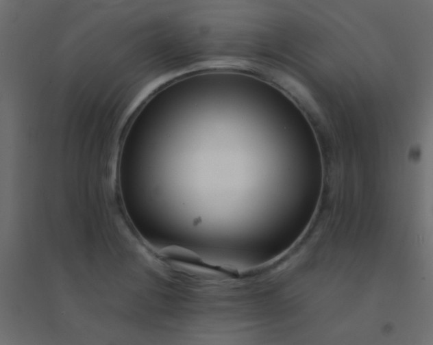 X0000094931228200712131530