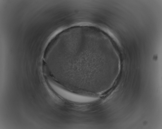 X0000094931229200712131530